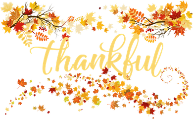 Thankful Thanksgiving Fall Autumn Leaves Coaster