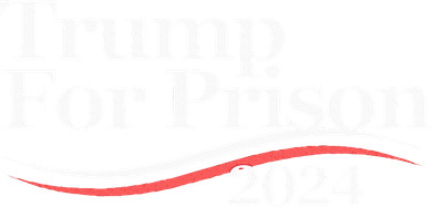 Trump For Prison 2024 Hooded Wearable Blanket