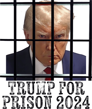 Trump For Prison 2024 Mugshot Election Parody Behind Bars Mousepad