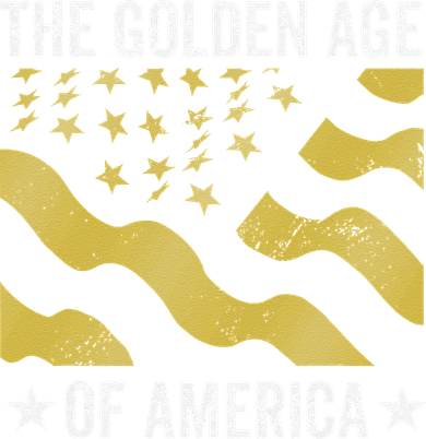 The Golden Age Of America Usa Flag Women's Long Sleeve Shirt