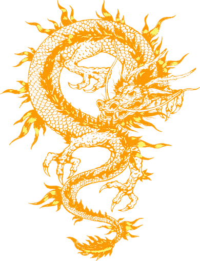 Traditional Golden Chinese Asian Culture Dragon Silhouette  Women's Sweatshirt