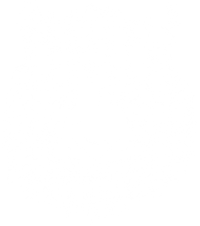 Tiger Cool Design Toddler Long Sleeve