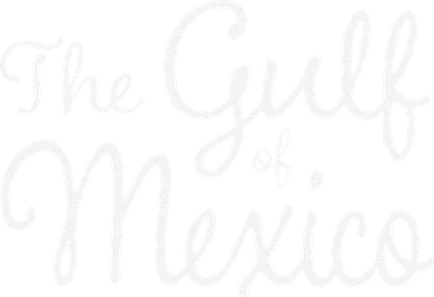 The Gulf Of Mexico Gift Golf Towel