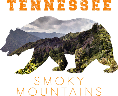 Tennessee Great Smoky Mountains Kids Hoodie