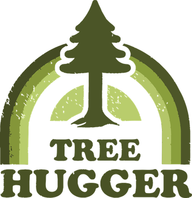 Tree Hugger Retro Vintage Environmental Nature Lover Toddler Hoodie