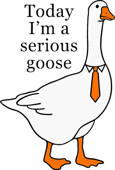 Today IM A Serious Goose Women's Long Sleeve Shirt