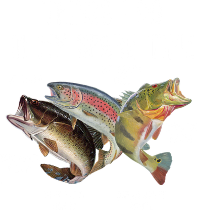 Thing I Do In My Spare Time Fishing Funny Women's Hoodie