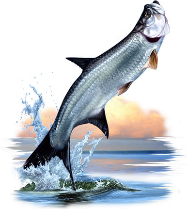 Tarpon Leap Button