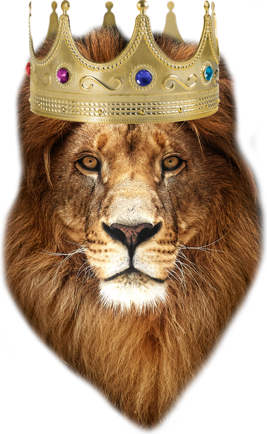 Lion Gold Crown King Of The Jungle Kids Long Sleeve Shirt