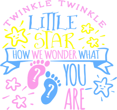 Twinkle Little Star How We Wonder What You Are Gender Reveal Gift Coaster