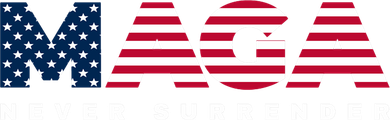 Trump Maga Freedom Never Surrender 4th Of July 2024 Usa Flag Hoodie Kids T-Shirt