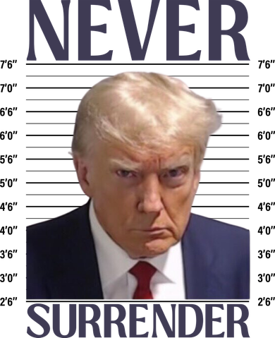 Trump Mugshot Meme Kids T-Shirt