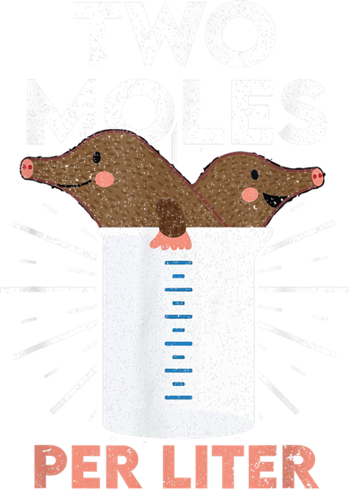 Two Moles Per Liter Funny Chemistry Science Tee Pajama Set
