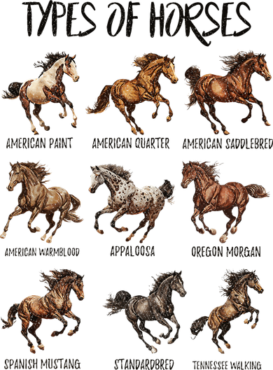 Types Of Horses Horse Breed Horseback Riding Coaster