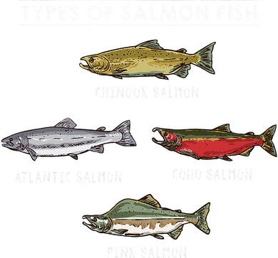 Types of Salmon Fish for Salmon Fishing Kids Sweatshirt