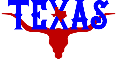 Texas Original State Longhorn Logo Kids Sweatshirt