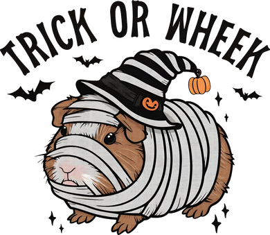 Trick Or Wheek Halloween Guinea Pig Women's Hoodie