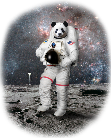 Panda In Space Astronaut Women's Dry Zone Grid Polo
