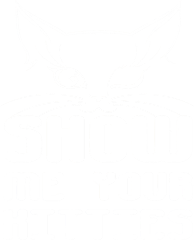 Show Me Your Kitties Funny Cat Kids Sweatshirt