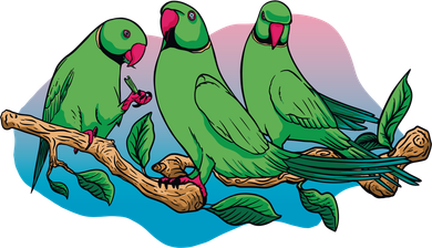 Three Parrots Kids T-Shirt