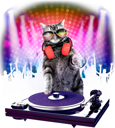 DJ Cat Turntable Mixer Women's Sweatshirt