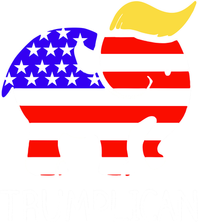 Donald Trump Trumplican 2020 Election Kids Sweatshirt