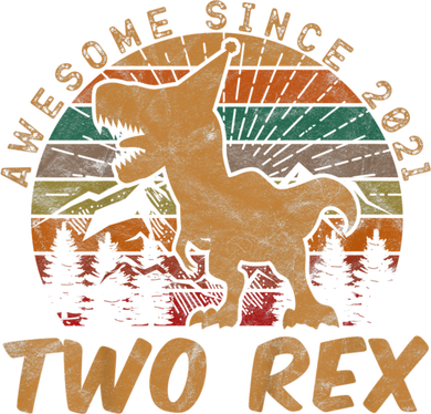 Two Rex 2nd Birthday Gifts Second Dinosaur 2 Year Old Coaster