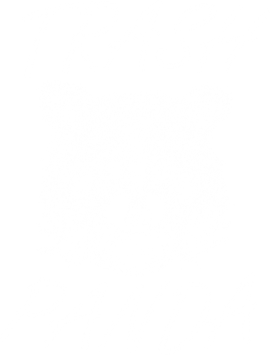 Trash Panda Funny Raccoon Hat