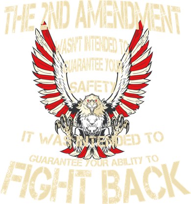 2nd Amendment Fight Back Women's Long Sleeve Shirt