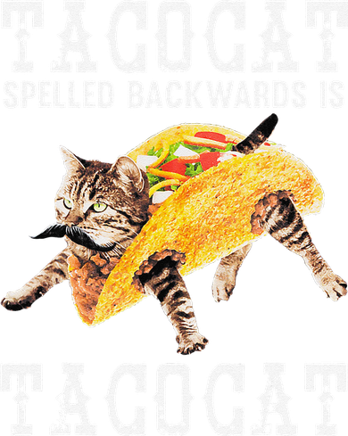 Tacocat Spelled Backward Is Taco Cat Hat