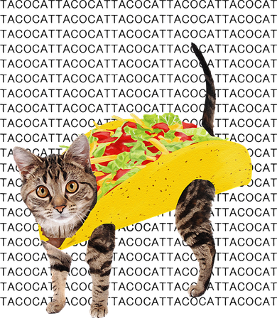 Tacocat Spelled Backwards Is Tacocat Funny Taco Cat Hat