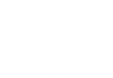 Tarpon Springs Florida Fl Vintage Athletic Sports Design Established Polo