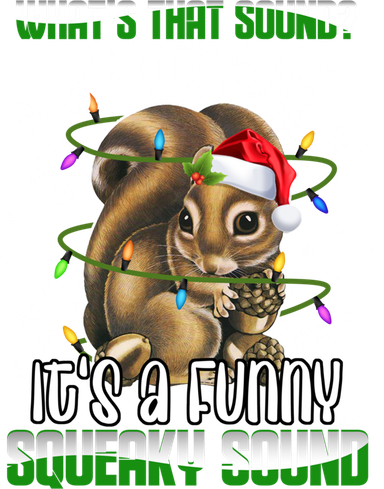That Sound Funny Squeaky Sound Christmas Squirrel Gift Toddler T-Shirt
