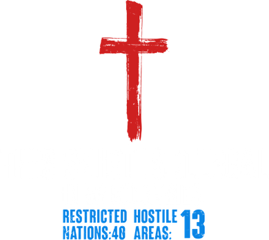 This Shirt Is Illegal In 53 Countries Restricted Nations 40 Hostile Areas 13 Women's Long Sleeve Shirt