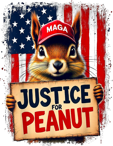 The Squirrel Peanut Squirrel Maga American Flag Justice For Peanut Gift Doddie Hoodie