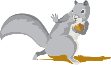 The Squirrel Protect The Nut Cool Vector Design Pajama Set