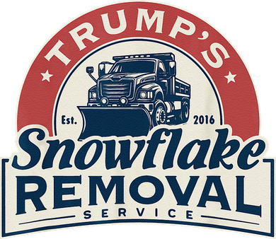 TrumpS Snowflake Removal Service Funny Trump 2024 Gift Love Women's T-Shirt