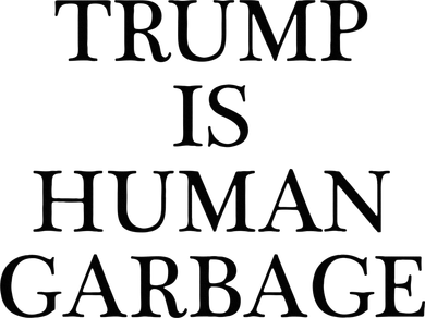 That Says Trump Is Human Garbage Funny Anti Trump Kids Hoodie