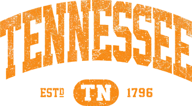 Tennessee Shirts. Tn Vintage Beanie