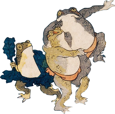 Toad Sumo Coaster