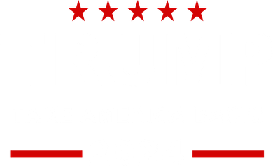 Trump 2024 Take America Back! Button