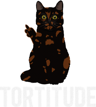 Tortitude Tortoiseshell Cat Owner Tortie Cat Lover Kids Hoodie