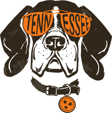 Tennessee Tn Dog State Flag Tn Lover Outfit Hoodie