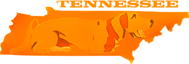 Tennessee Kids Hoodie