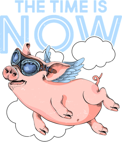 The Time Is Now Flying Pig Women's Hoodie