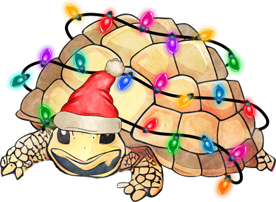 Turtle Tortoise Wearing Santa Hat Christmas Lights Graphic Animal Lover Button