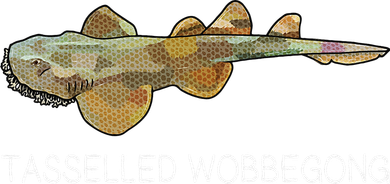 Tasselled Wobbegong Shark Lover Women's T-Shirt