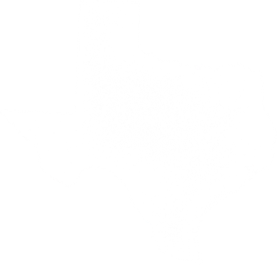 Texas Teacher Women's Long Sleeve Shirt