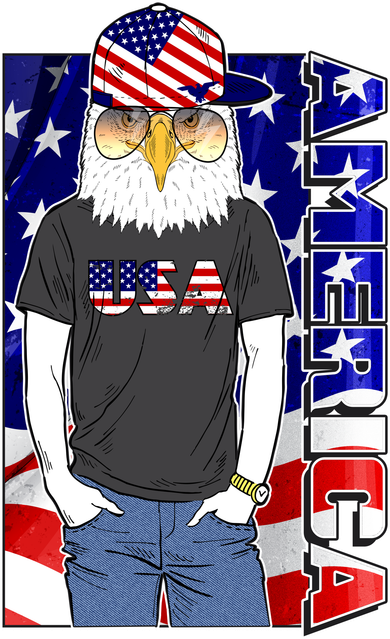 USA America Flag Hip Hop Eagle Button