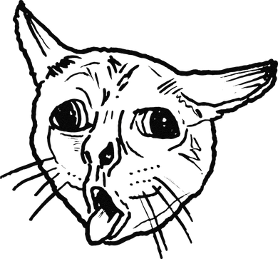 Ugly Coughing Cat Meme Tumbler